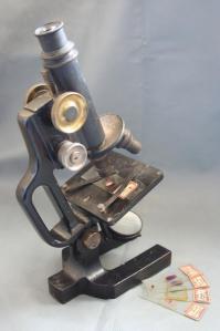 under the microscope