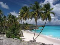 tropical