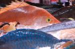 Nordic bank Glitnir at Boston Seafood Show item-thumbnail