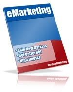 eMarketing and Search