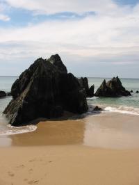 Swedish bathing waters investigated item-thumbnail