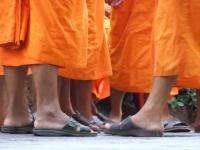 tibetan monks