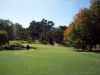 Norwegian women golfers making history item-thumbnail