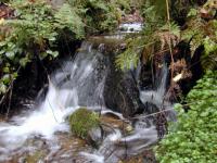 Fiji exports luxury mineral water despite chronic water shortages item-thumbnail