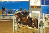 Norway’s equestrian team may be stripped of gold item-thumbnail