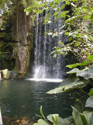 Water in Fiji