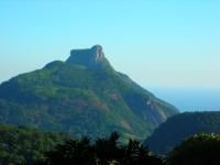 Norway offers Brazil a billion to save the Amazon item-thumbnail