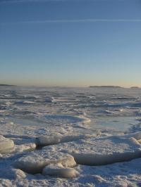 sea-ice
