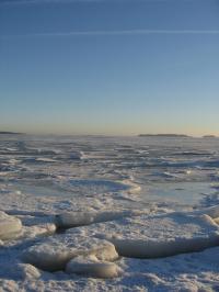 Denmark to host next UN Climate Conference item-thumbnail