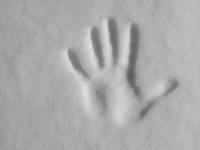 Norwegian’s little finger is world’s strongest item-thumbnail