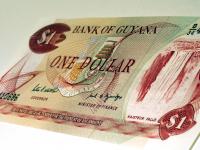guyana-dollar