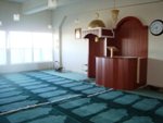 Muslims in Iceland begin Ramadan today item-thumbnail