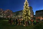 Reykjavik Christmas tree to be cut down in Oslo tomorrow item-thumbnail