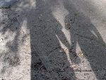 16-year-old girl cleared of ‘truth or dare’ sex abuse item-thumbnail