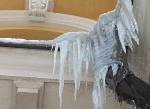 Possible charges after falling ice death item-thumbnail
