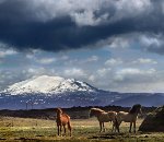 Icelandic scientist surprised by Hekla volcano eruption sensation item-thumbnail