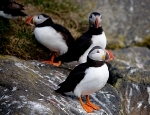 Iceland tour operator continues Snæfellsnes Peninsula tours throughout winter item-thumbnail
