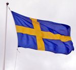 Swedish researchers: active pensioners add six years to life item-thumbnail