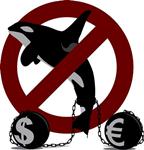 Iceland, Japan and Norway block UN whaling role item-thumbnail