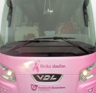 Reykjavik Excursions Pink Bus02