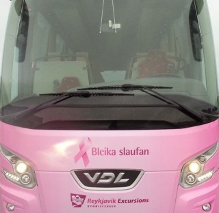 Icelandic Cancer Society to receive donations from Reykjavik Excursions’ airport transfer item-thumbnail