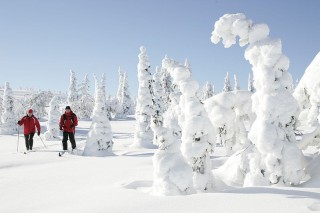 frozen finland