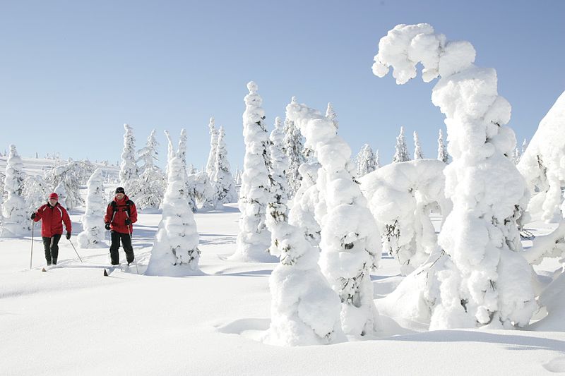 Record snow fall at north Finnish village IceNews Daily News