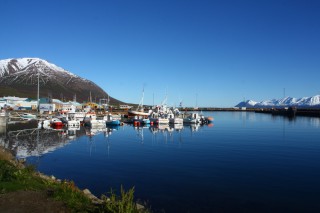 Ninety-year-old Icelandic man has lost ring returned after 65 years