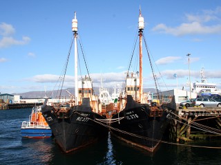 Hvalur whaling boats Reykjavik