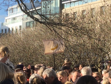 2016 April Protests - Kristín Ómarsdóttir