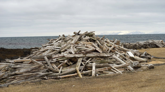 Iceland’s history and culture represented in new research project Driftwood
