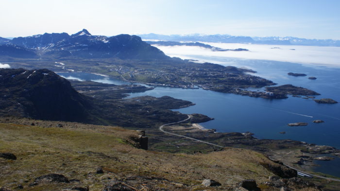 Life in Greenland 2 million years ago revealed through oldest DNA discovery